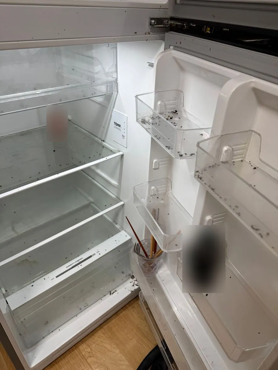 안산 쓰레기집 청소 작업 전 냉장고 선반과 문 칸에 검은 흔적이 남은 모습