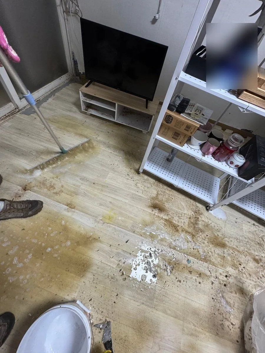안산 쓰레기집 청소 중 세제를 뿌린 바닥을 밀대로 밀어 닦는 모습