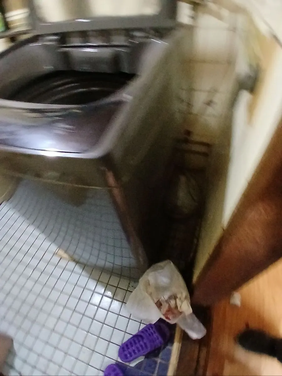 미추홀구 고독사청소 작업 전 얼룩이 번진 세탁기 둘레