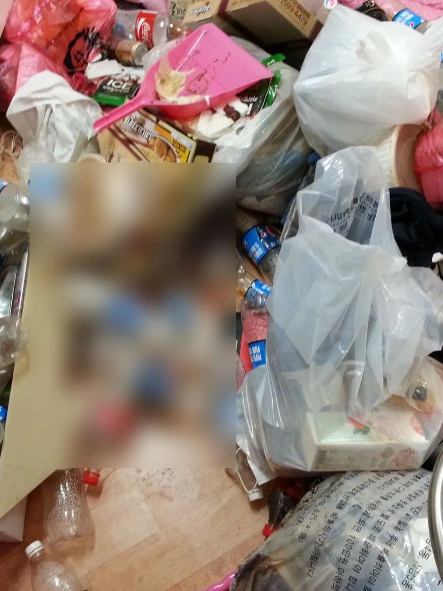 평촌 쓰레기집 청소 작업 전 방바닥에 빈 페트병과 봉지가 쌓인 모습